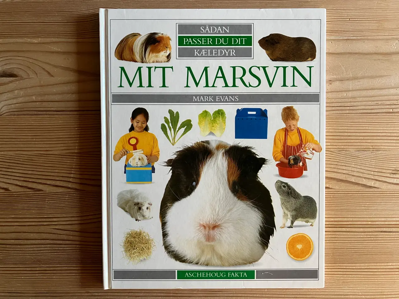 Billede 1 - MIT MARSVIN. Sådan passer du dit kæledyr