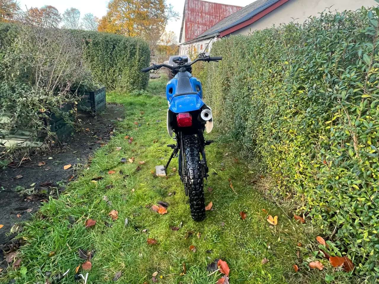 Billede 4 - Suzuki RMX 50 – totalrenoveret