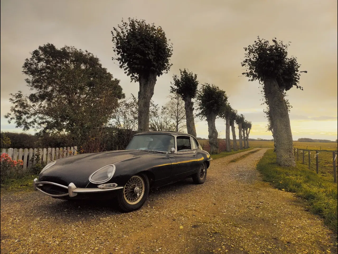 Billede 2 - Jaguar E-type S1 2+2 A.T. (XK-E S1)