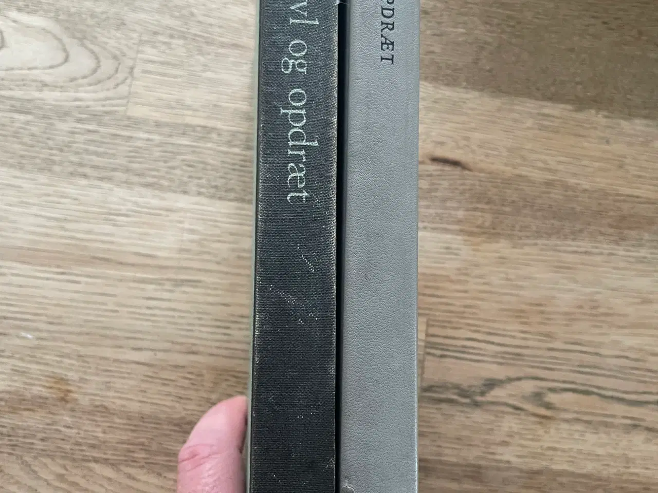 Billede 3 - Mink avl og opdræt - Minkopdræt, Alf Lund