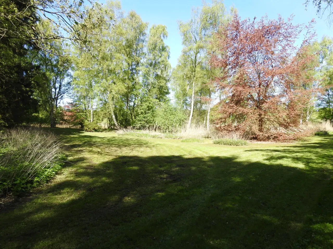 Billede 3 - jagtområde sælges