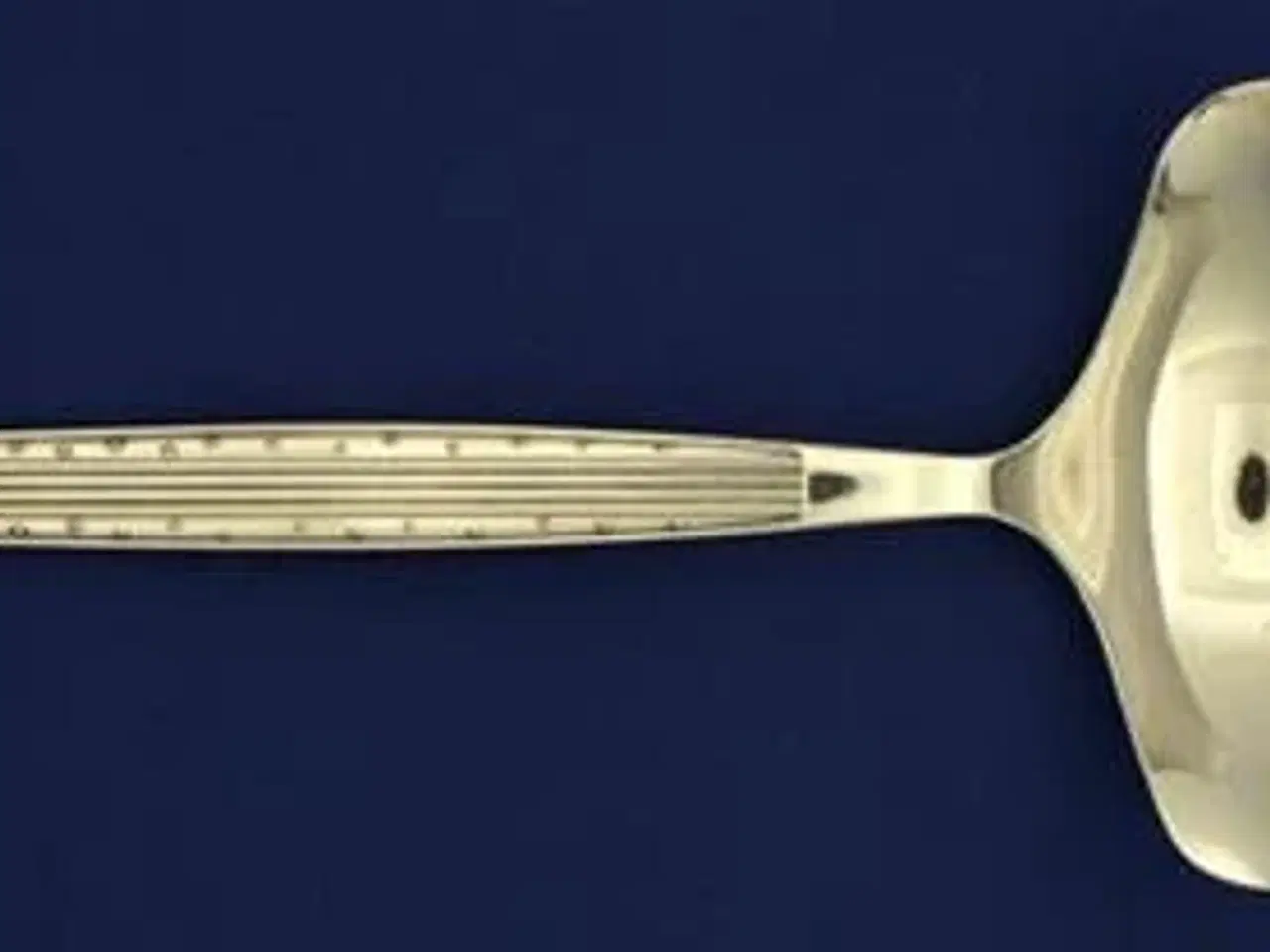 Billede 1 - Capri Sauceske, 17 cm.