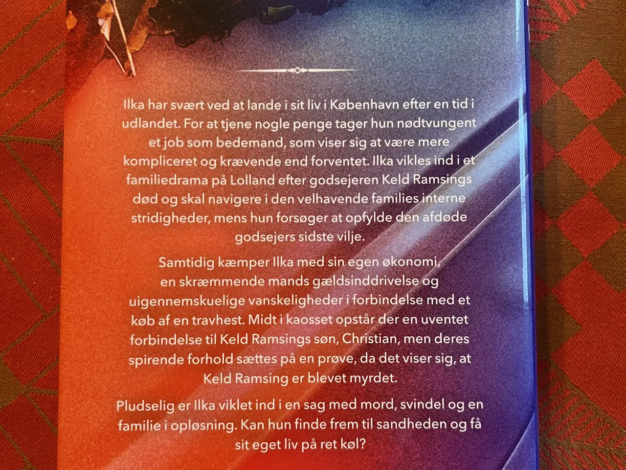 Billede 2 - Ilka vender hjem af Sara Blædel.