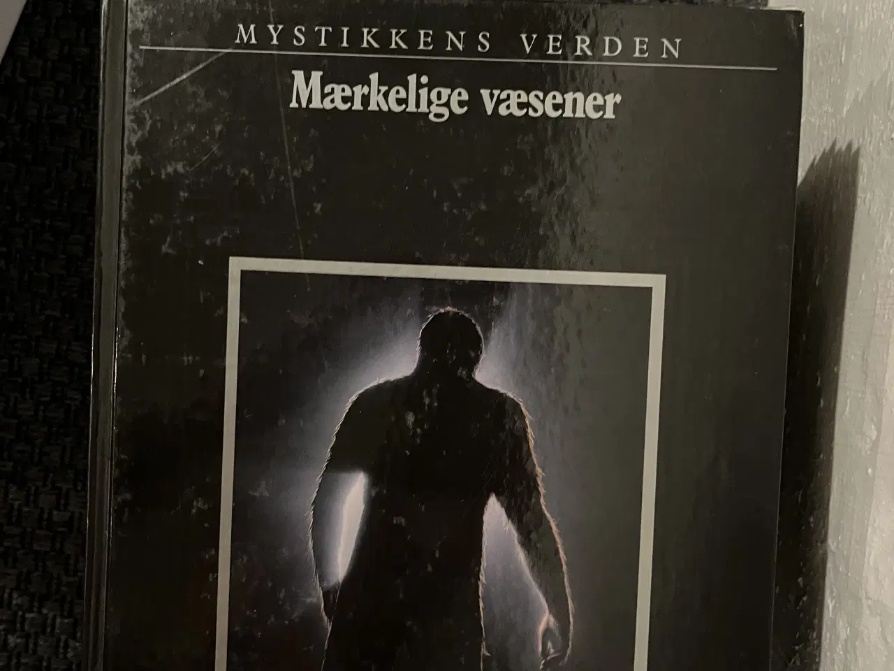 Billede 12 - 28 spændende bøger fra Mystikkens Verden 