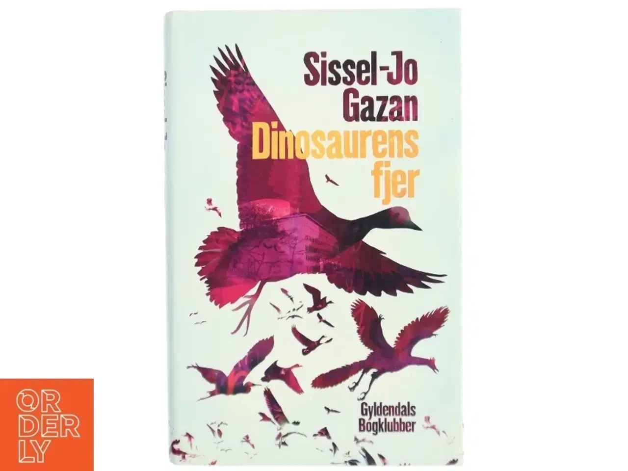 Billede 1 - Dinosaurens fjer