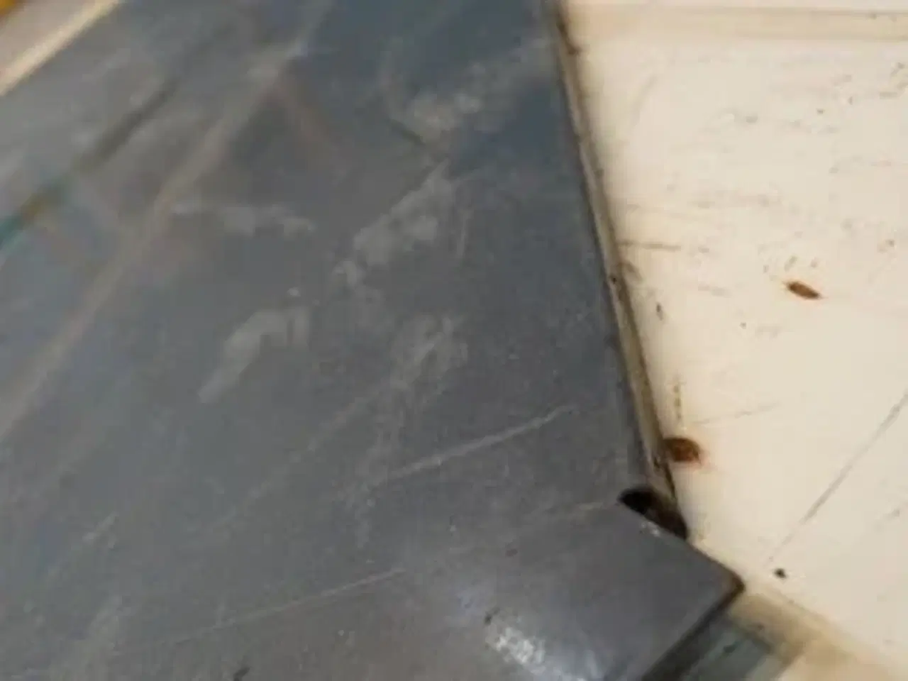 Billede 19 - Claas Lexion 580 Afskærmning 7941732