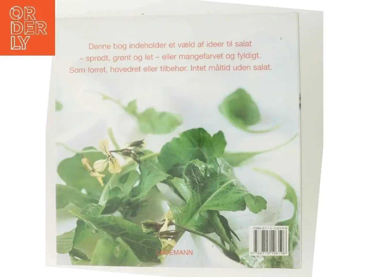 Billede 3 - Salater : forretter, hovedretter, tilbehør af Elsa Petersen-Schepelern (Bog)