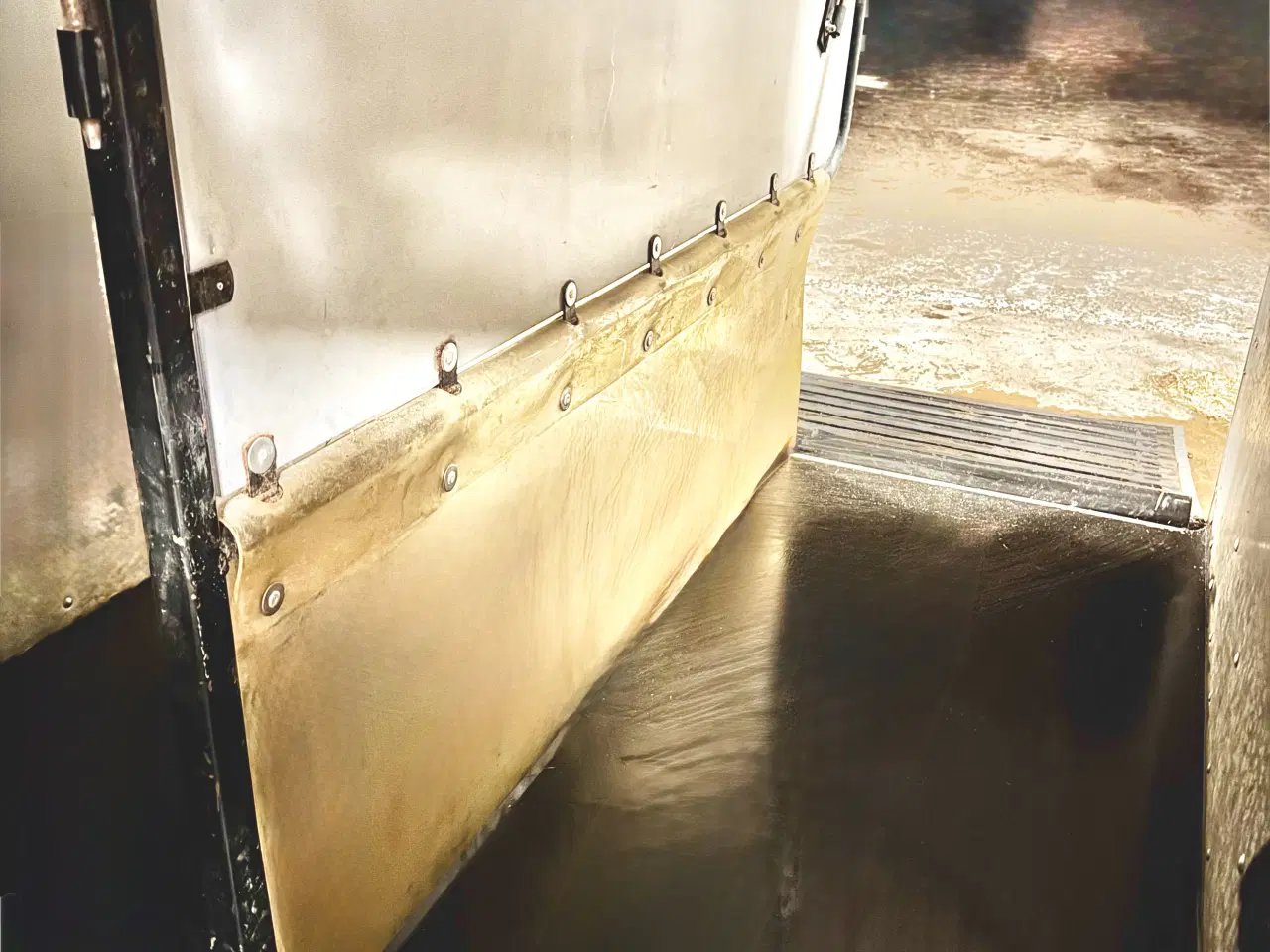 Billede 18 - Brenderup hestetrailer 