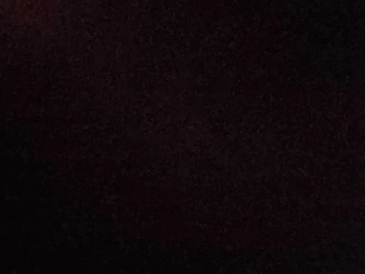 Billede 1 - Ilder købes