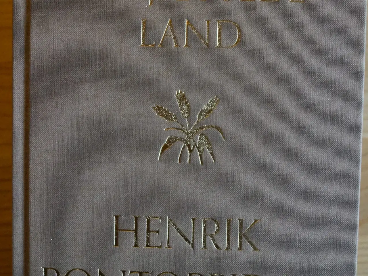 Billede 2 - Henrik Pontoppidan: Det forjættede land