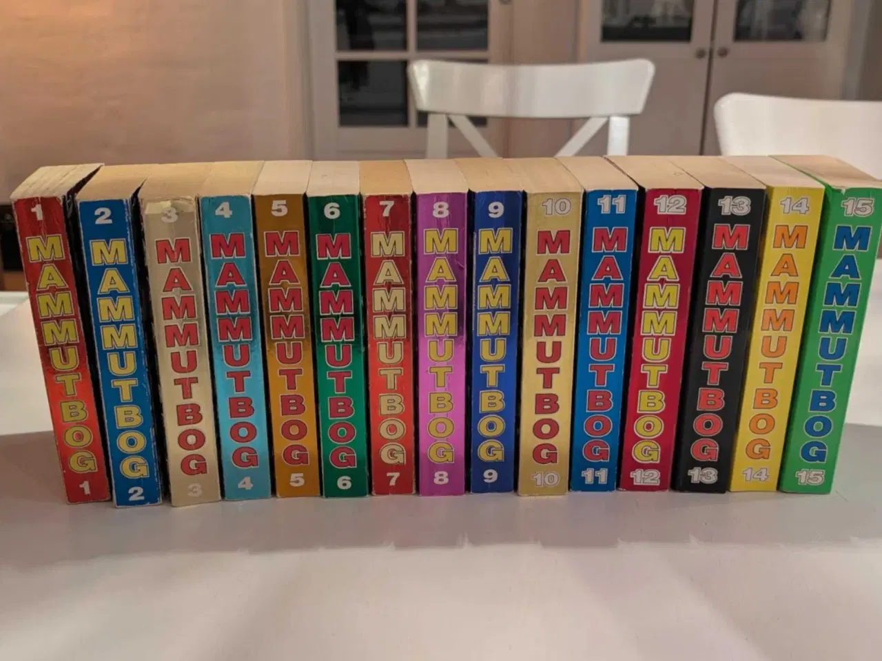 Billede 1 - Tema jumbøger/ mamut