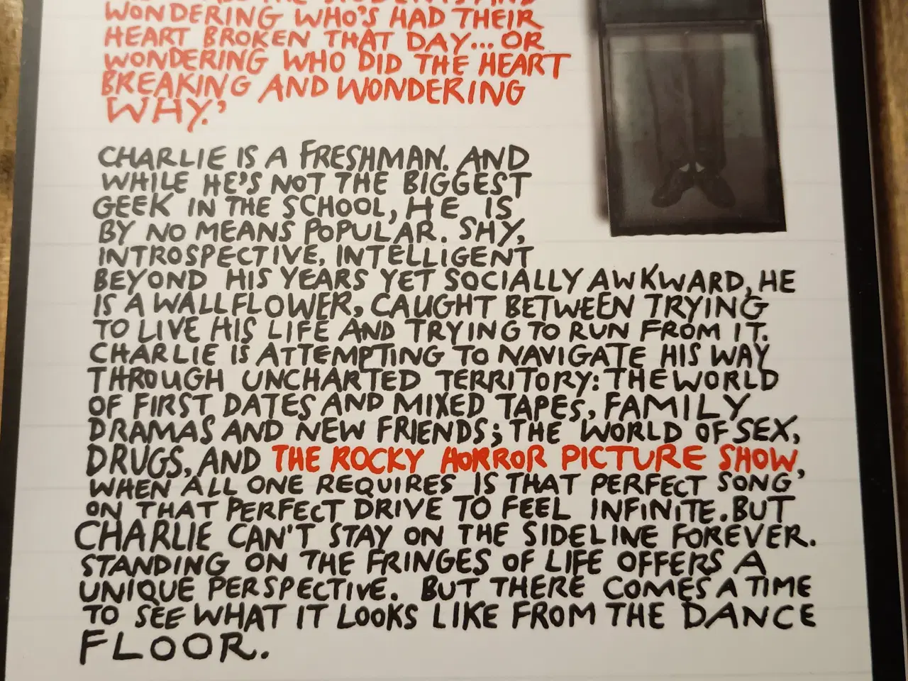 Billede 2 - Stephen Chbosky, The Perks Of Being A Wallflower.