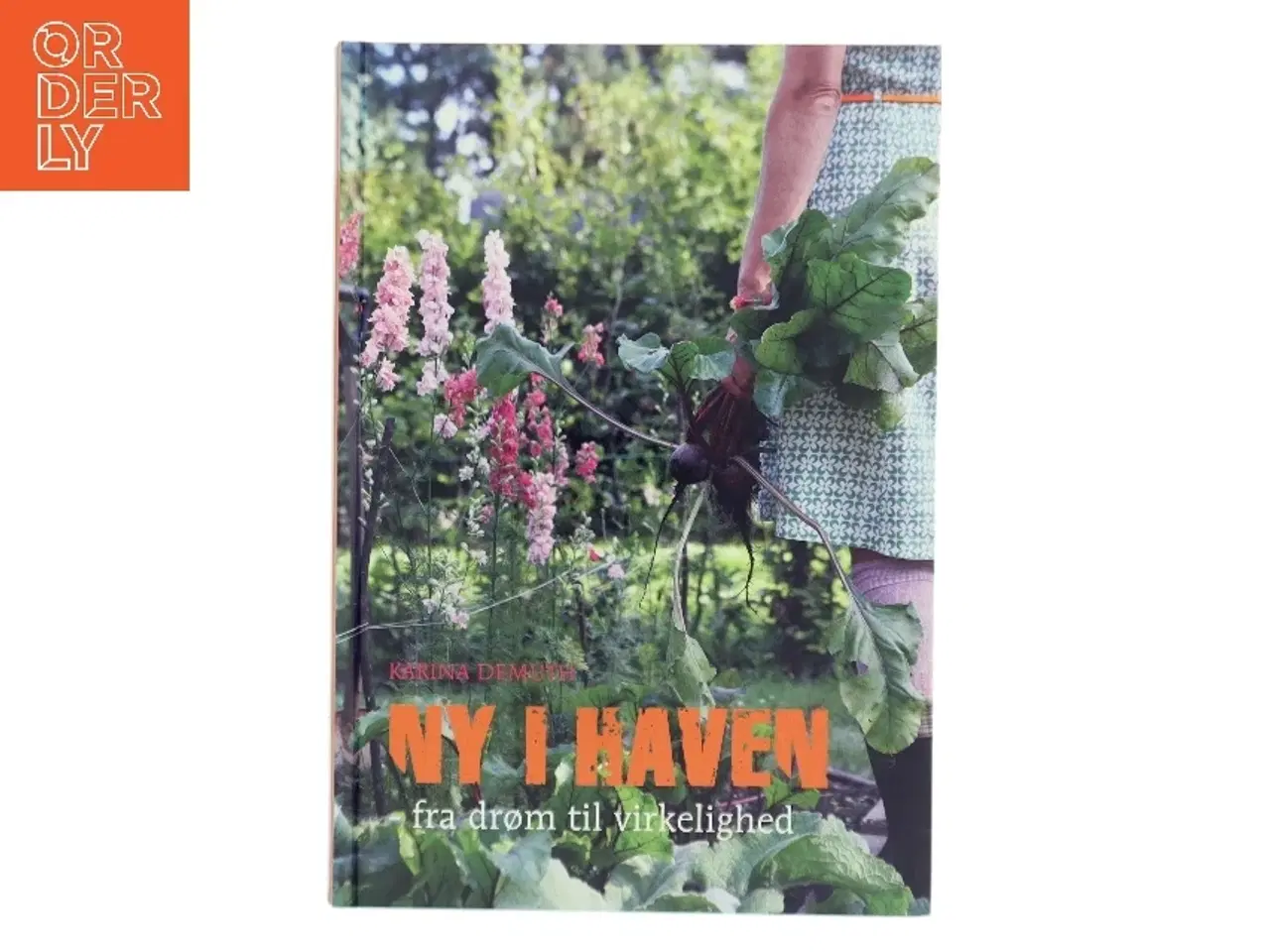 Billede 1 - Ny i Haven: fra drøm til virkelighed af Karina Demuth (Bog)