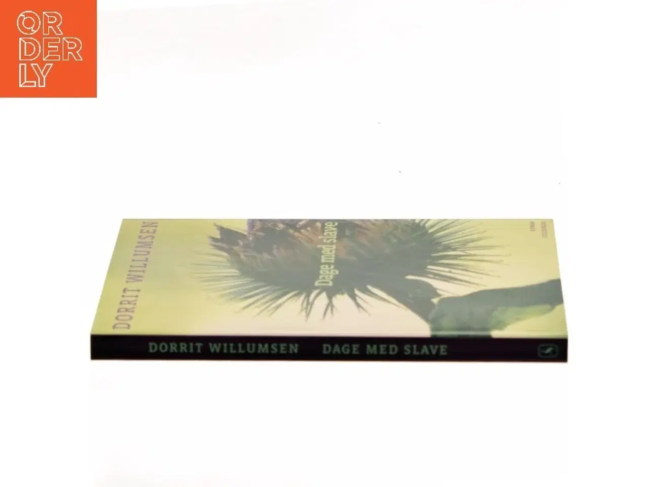 Billede 2 - Dage med slave : roman af Dorrit Willumsen (Bog)