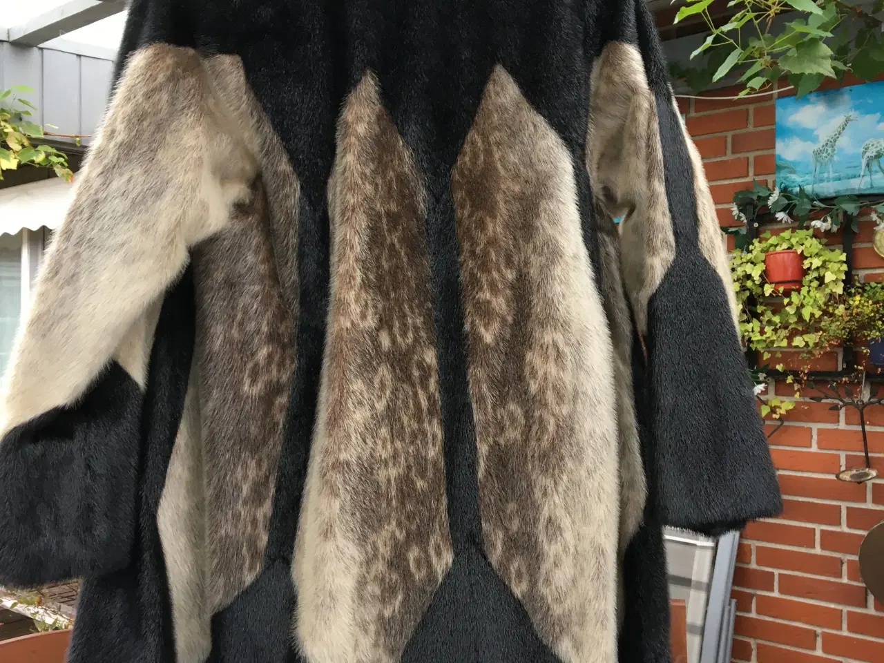 Billede 2 - Sælskinds pels