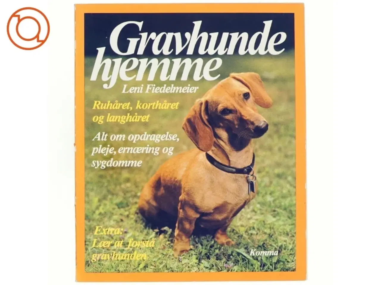 Billede 1 - Gravhunde hjemme af Leni Fiedelmeier