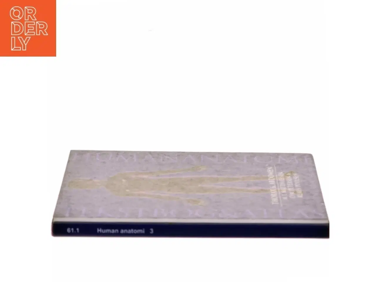 Billede 2 - Human anatomi: Thorax & abdomen af M.E. Matthiesen (Bog)