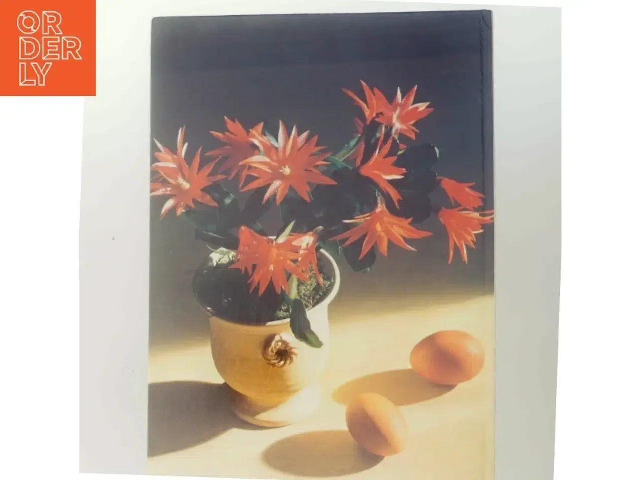 Billede 3 - Forår i huset (Bog)