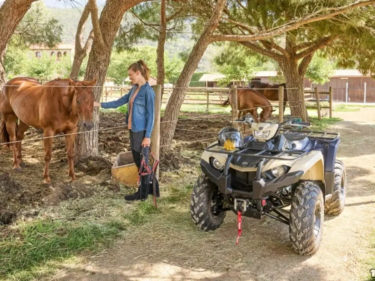 Billede 3 - Yamaha Kodiak 450 EPS SE Traktor