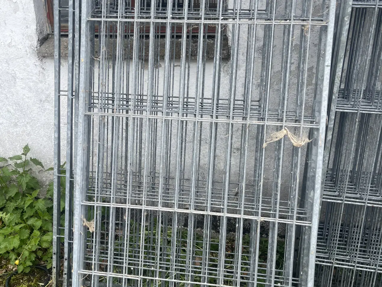 Billede 6 - Hundegård HAKON