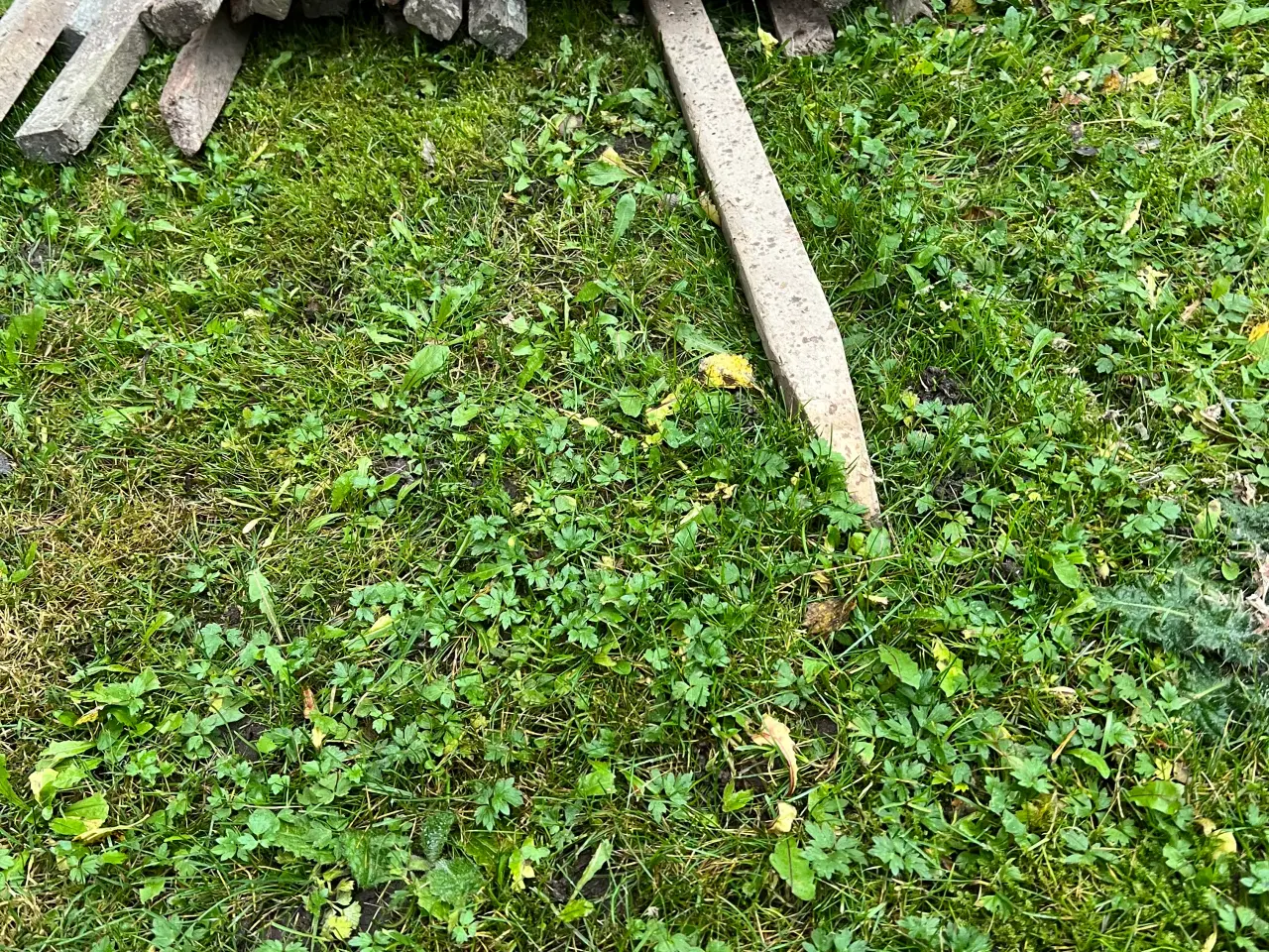 Billede 2 - Hegnsopruller og poda hegnspæle