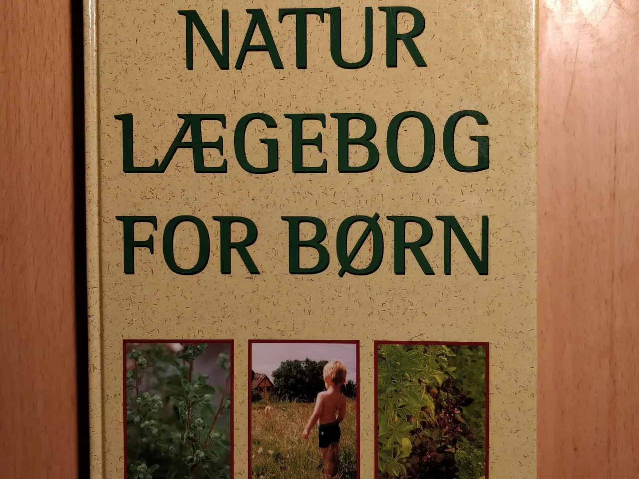 Billede 1 - Natur lægebog for børn