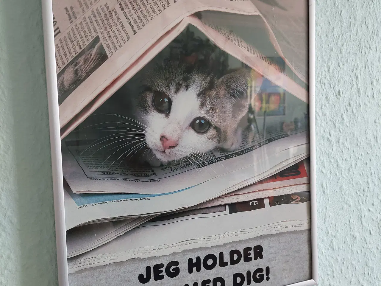 Billede 1 - billede med motiv kattekilling