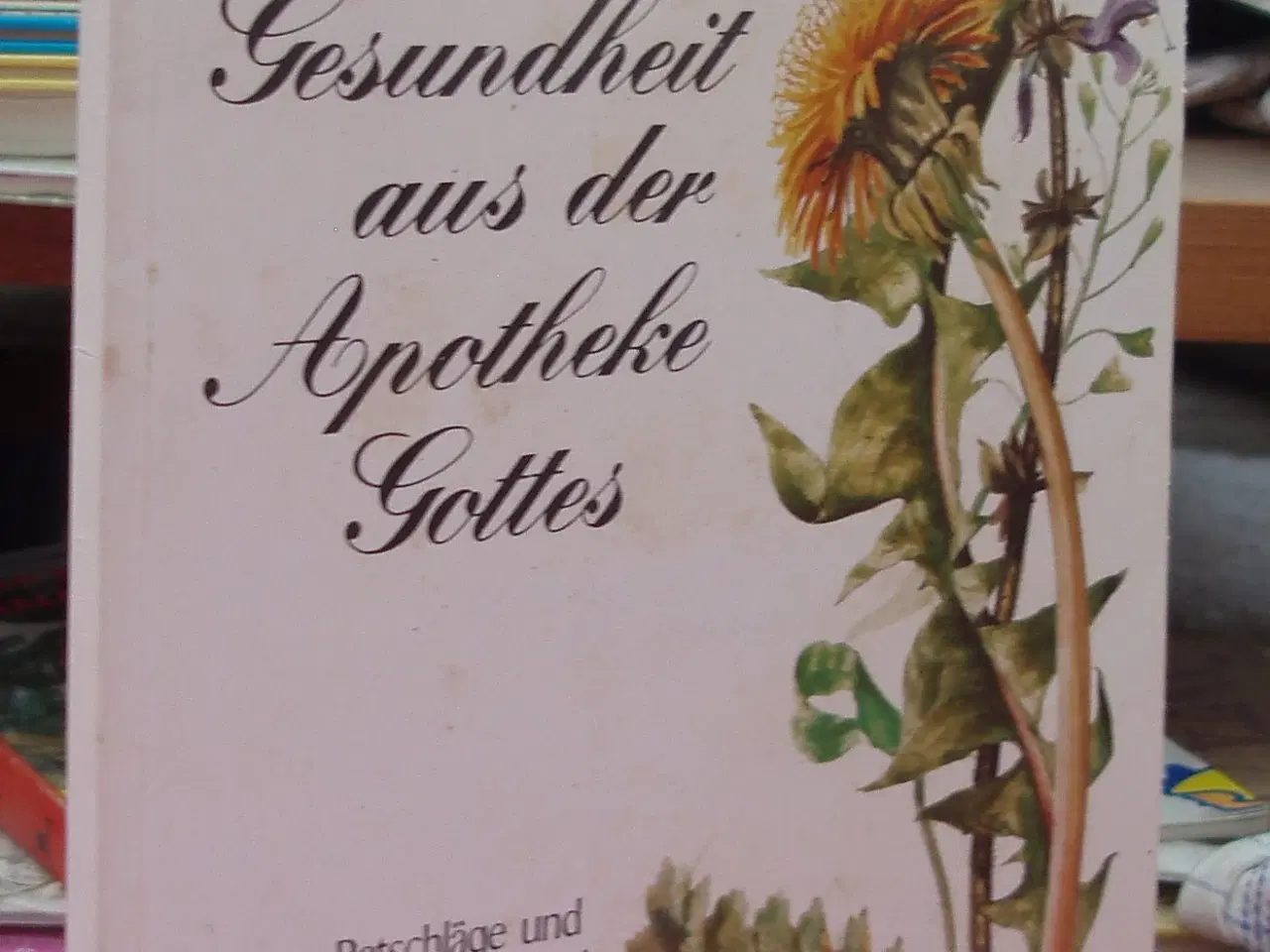 Billede 1 - Gesundheit aus der Apotheke Gottes
