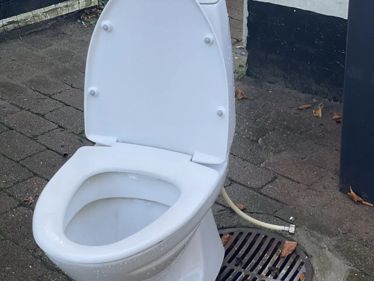 Billede 3 - Ifo toilet