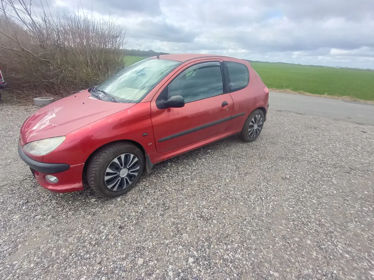 Billede 5 - Nysynet  206 1.6 8v benzin 