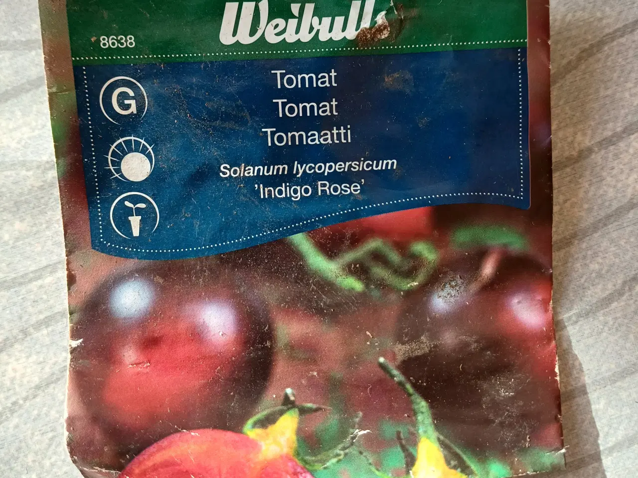 Billede 11 - Tomatplanter mange forskellige