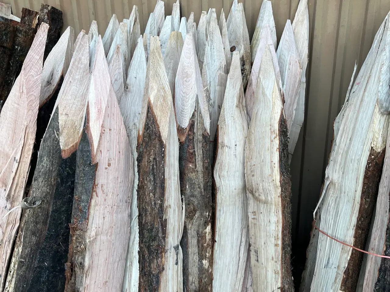 Billede 2 - Egetræspæle 