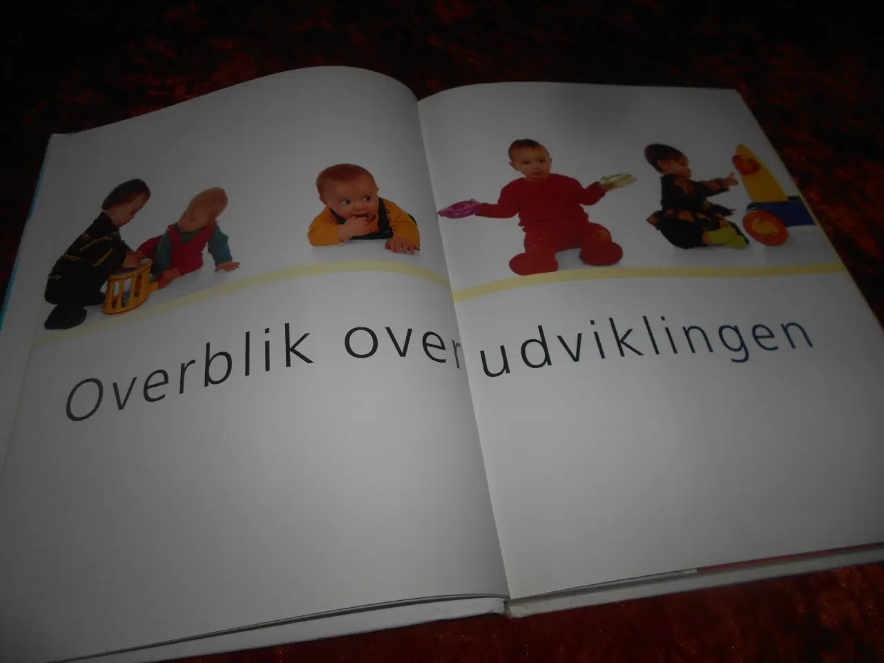 Billede 2 - Den kvikke baby, Richard C. Woolfson