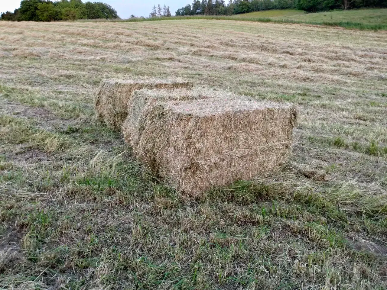 Billede 8 - Hestehø – flot kvalitet, wrapped