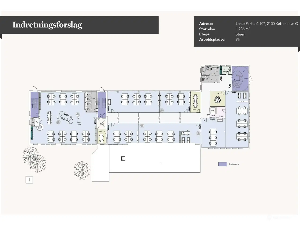 Billede 12 - Kom tæt på byen og offentlig transport