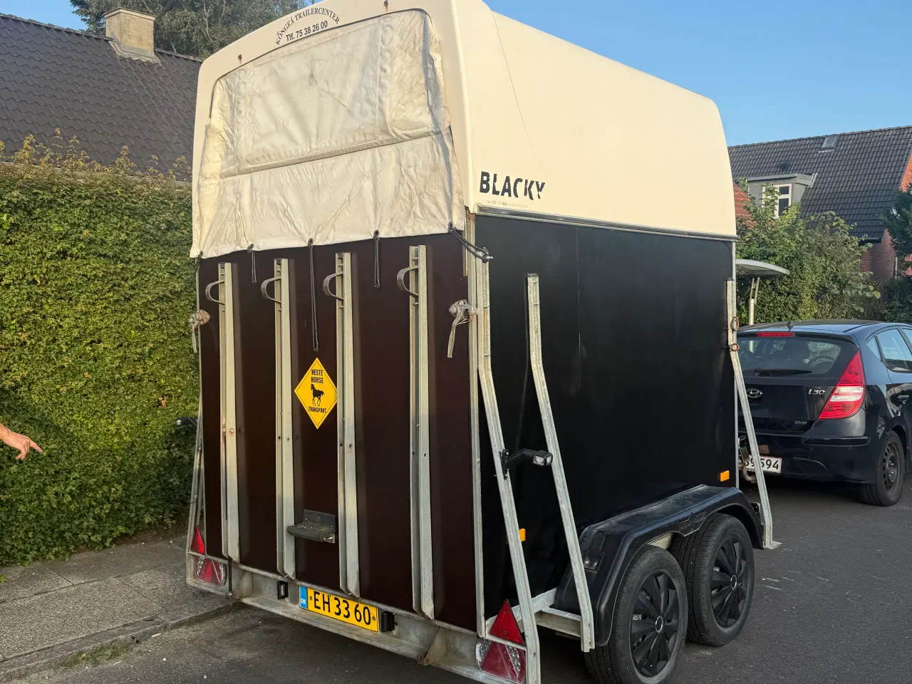 Billede 1 - Humbaur Blacky NYSYNET hestetrailer