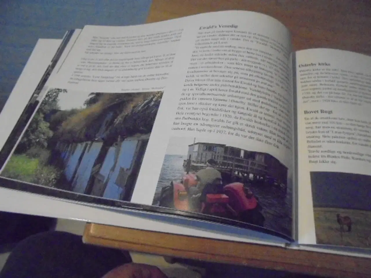 Billede 9 - Mellem klitter og rønner – Læsø’s gaver