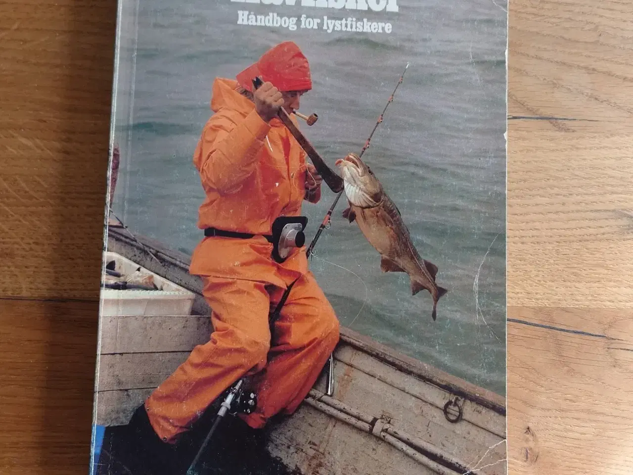 Billede 1 - Havfisker – Håndbog for lystfiskere