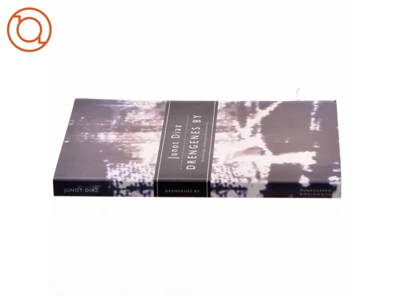 Billede 2 - Drengenes by : roman af Junot D&#237;az (Bog)