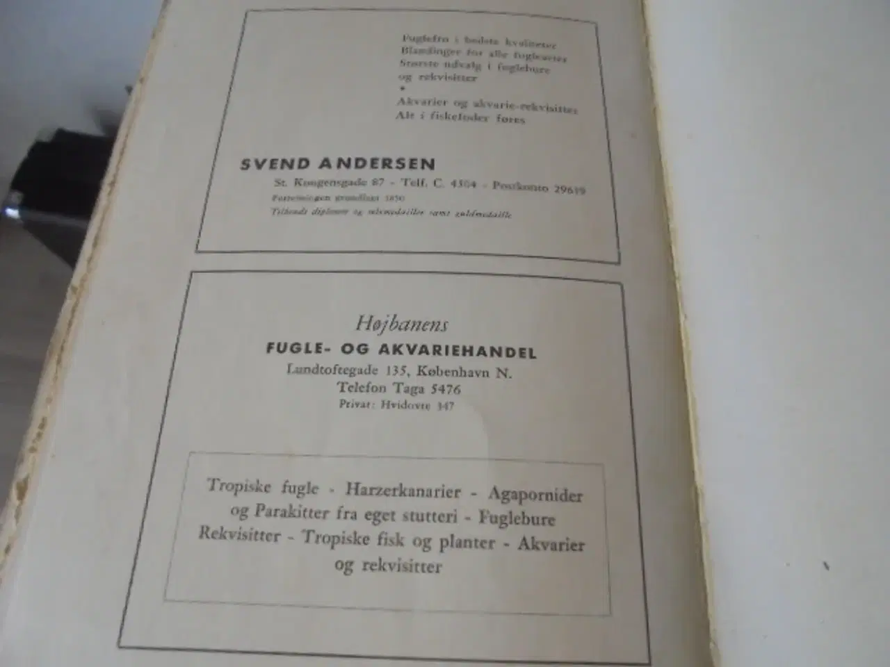 Billede 4 - UNDULAT-BOG for begyndere – Curt af Enehjelm