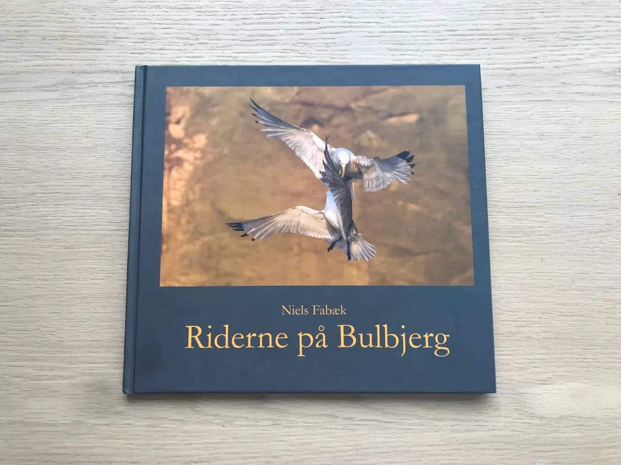 Billede 1 - Riderne på Bulbjerg  -  Niels Fabæk