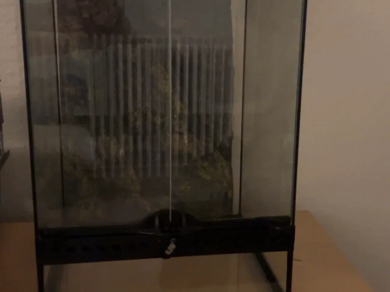 Billede 1 - Terrarium 