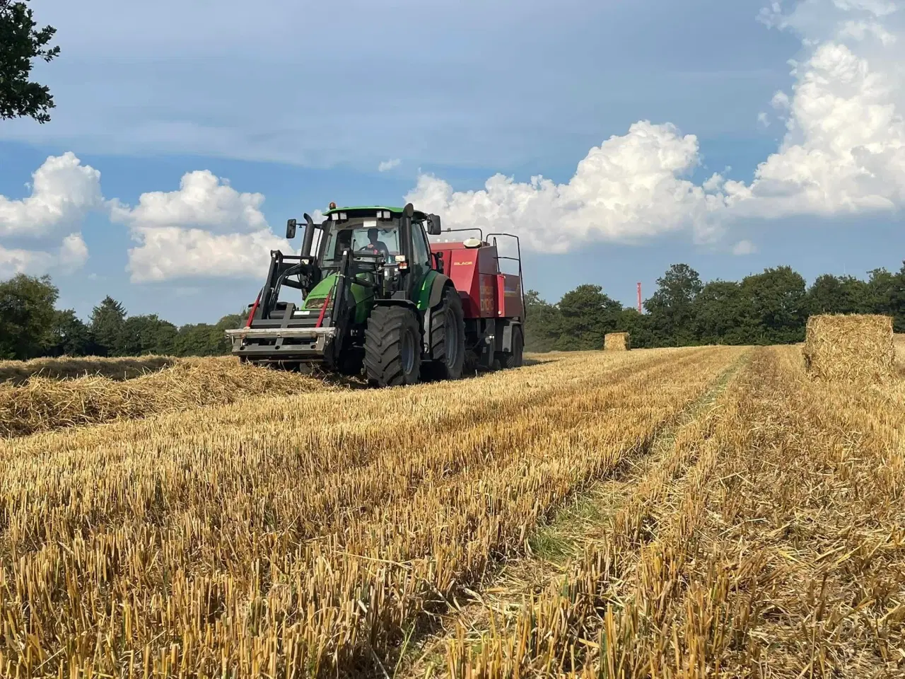 Billede 2 - PRESNING AF HALM TILBYDES