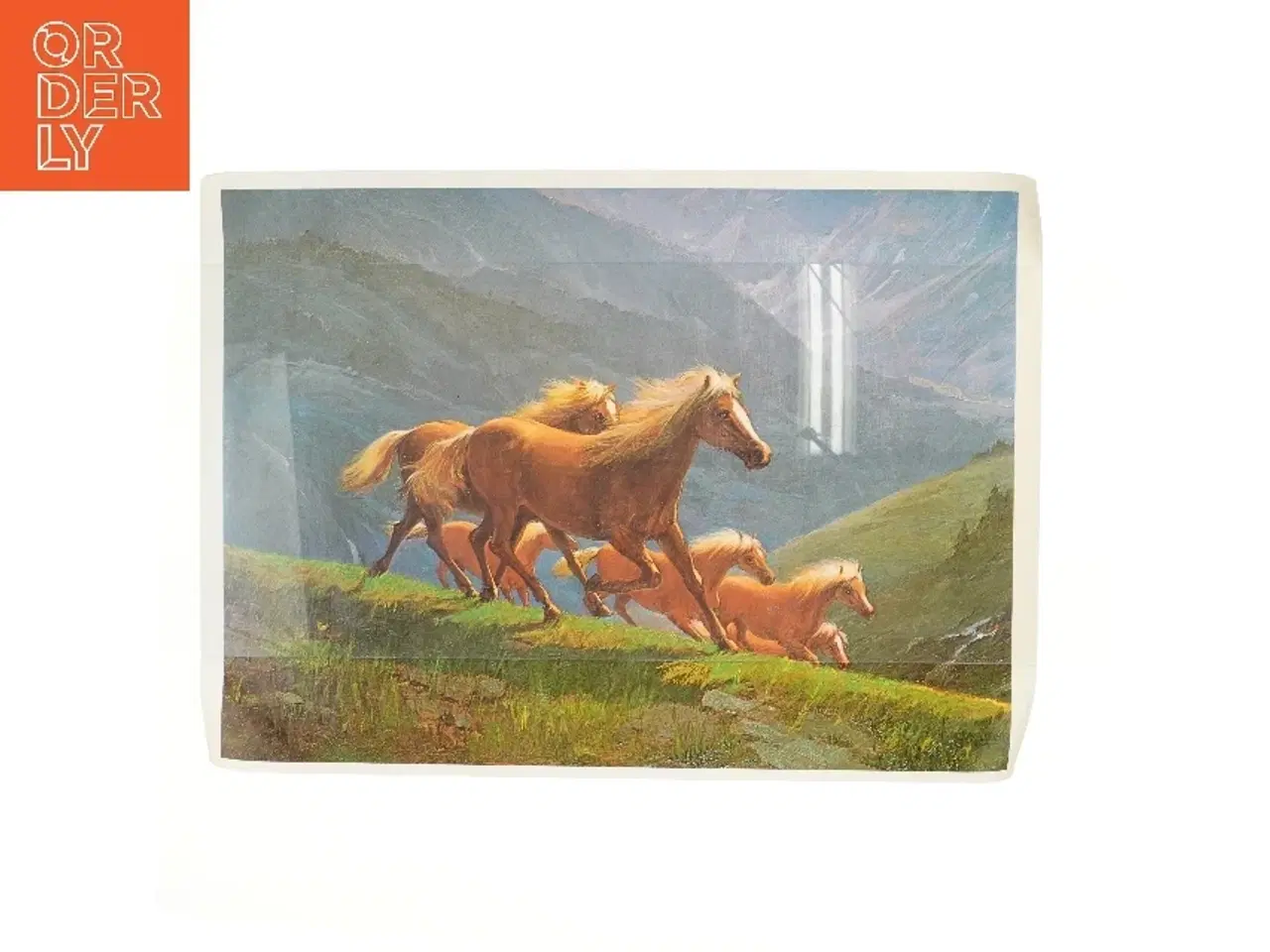 Billede 1 - Løbe heste maleri (str. 74,5x54 cm)