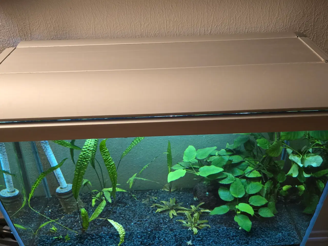 Billede 5 - 160 liter mark 2 akvarium