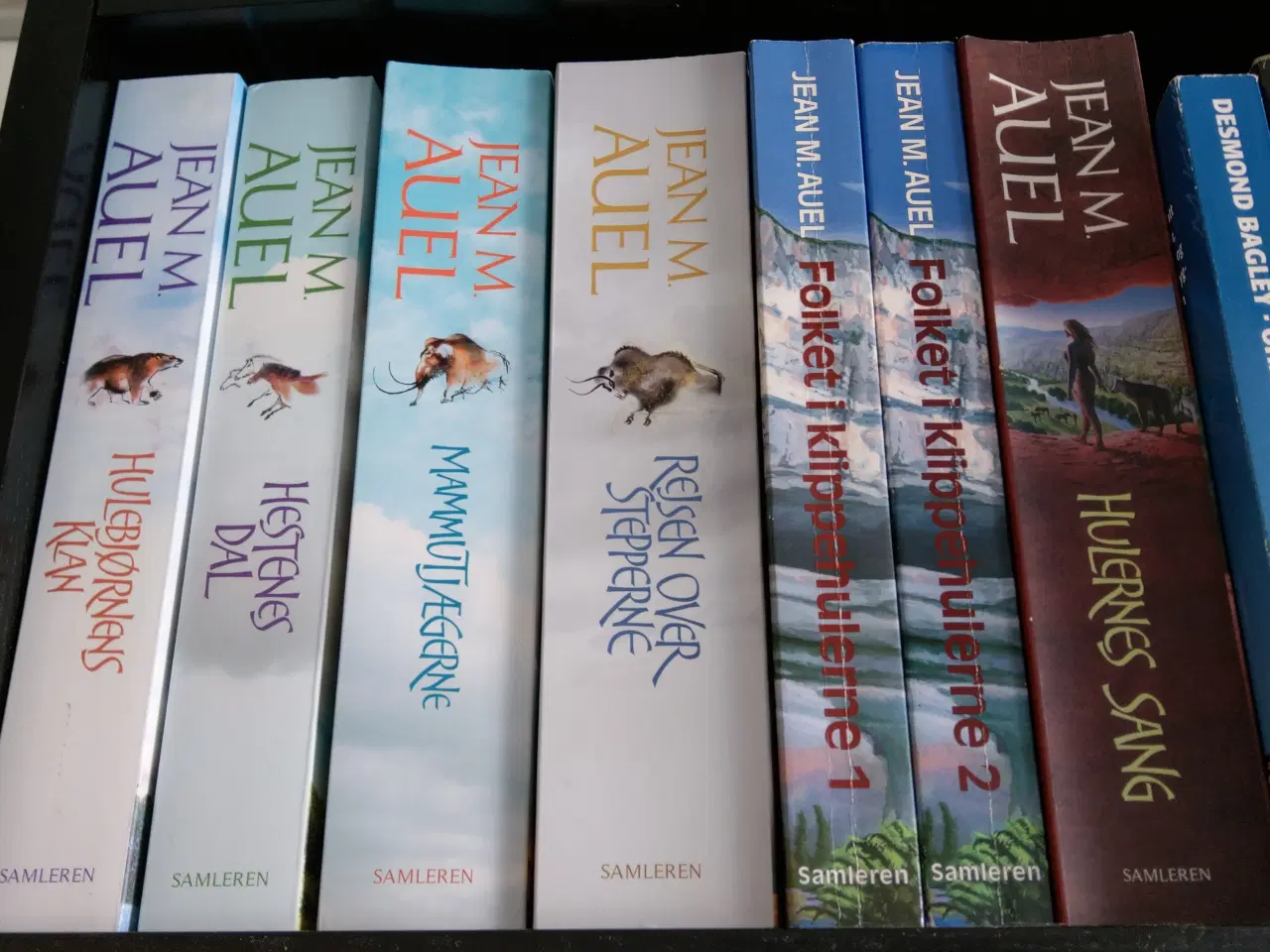 Billede 1 - Bogserie Hulebjørnens Klan