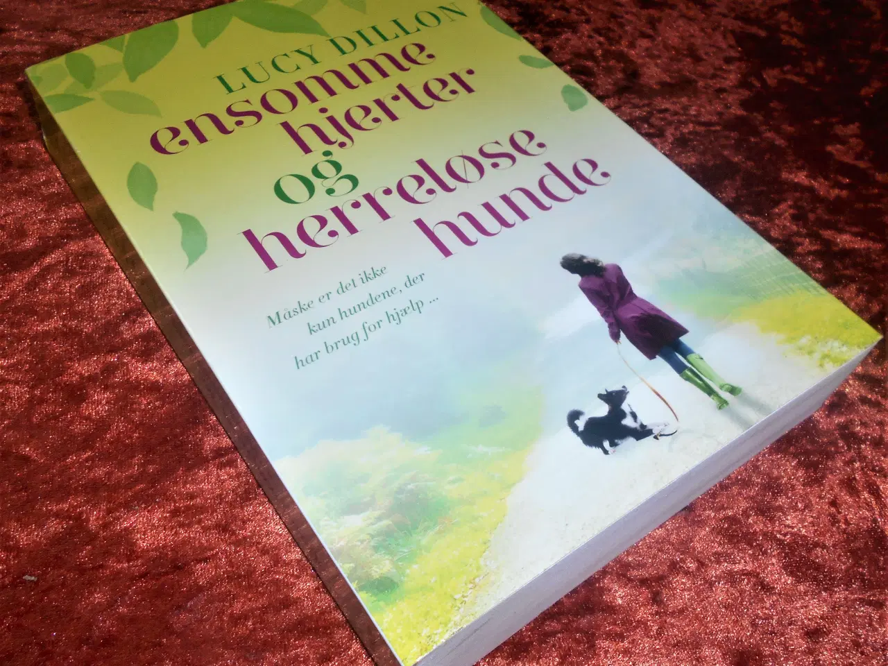 Billede 1 - Ensomme hjerter og herreløse hunde, Lucy Dillon,