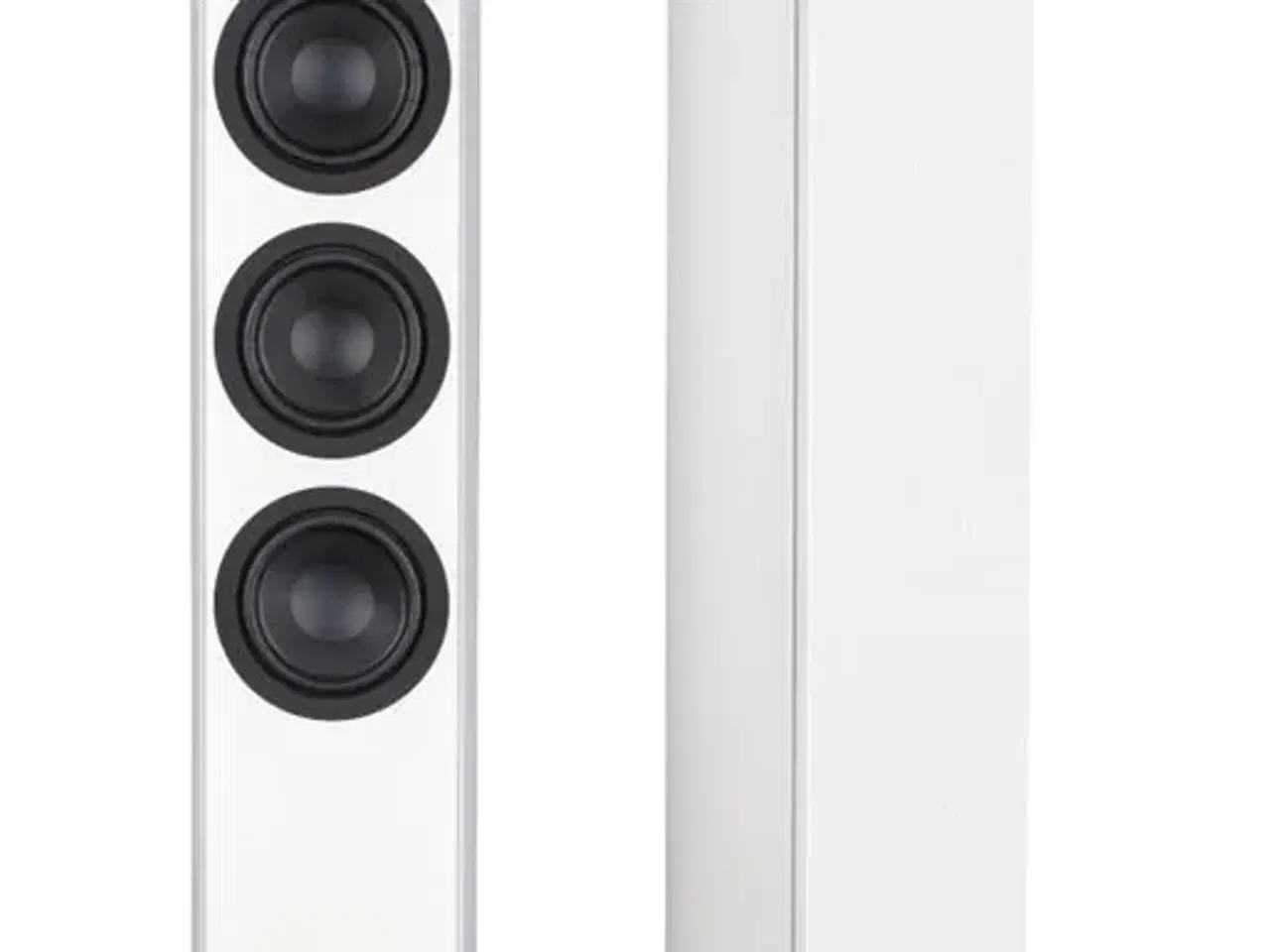 Billede 2 - System Audio Legend 40.2 Silverback gulvhøjttalere