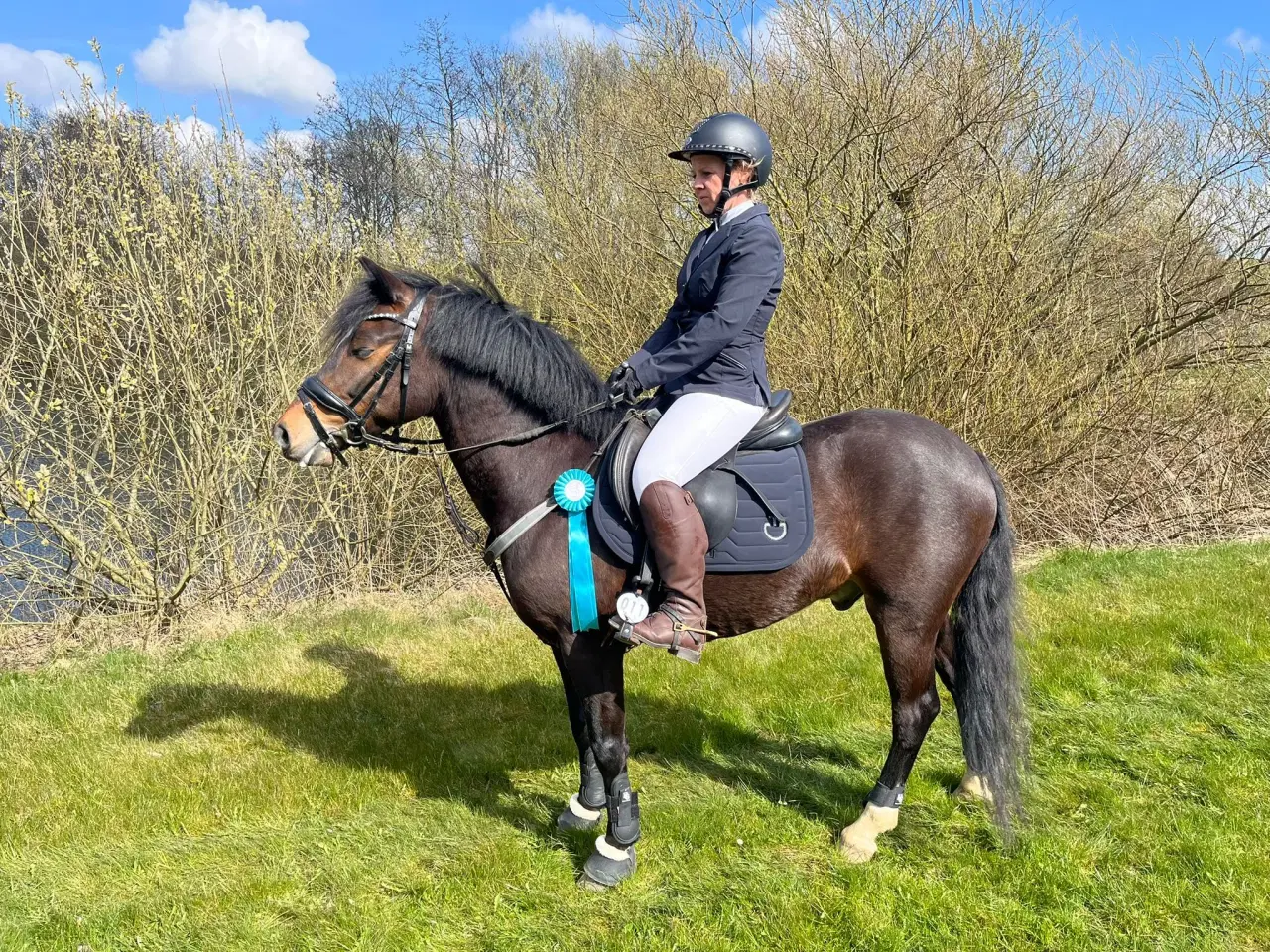 Billede 7 - Allround 2’er pony søger sin nye familie 