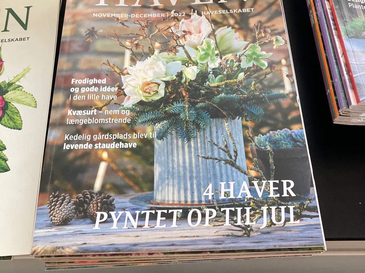 Billede 1 - Haven have blad